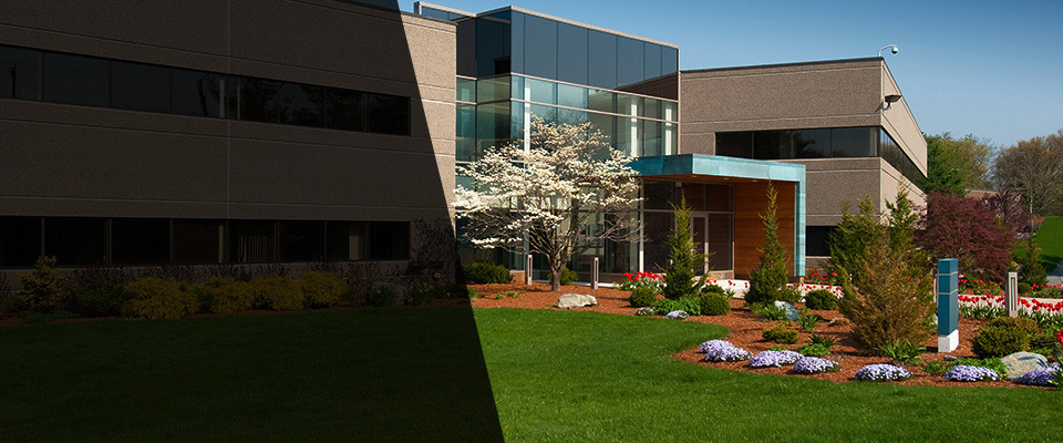 Connellys Springs Landscapers